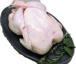 Whole Fresh chicken Large  $19 each